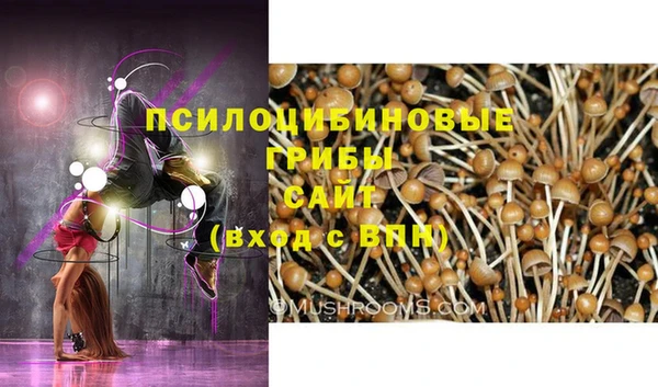 MESCALINE Богородск