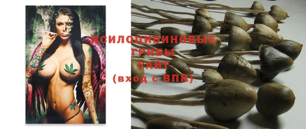 MESCALINE Богданович