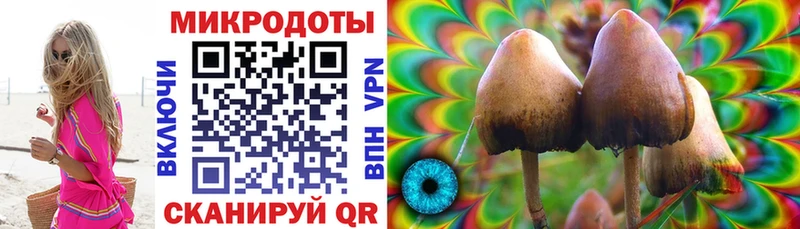 наркота  Кодинск  Галлюциногенные грибы мицелий 